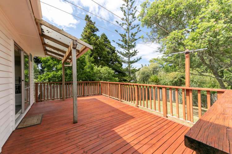 18 Fruitvale Road New Lynn_11