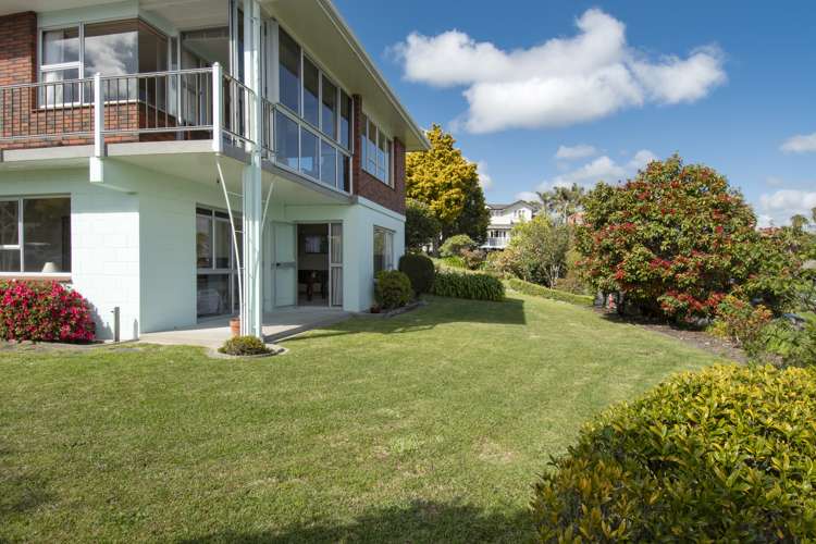 34 Vine Avenue Maungatapu_17