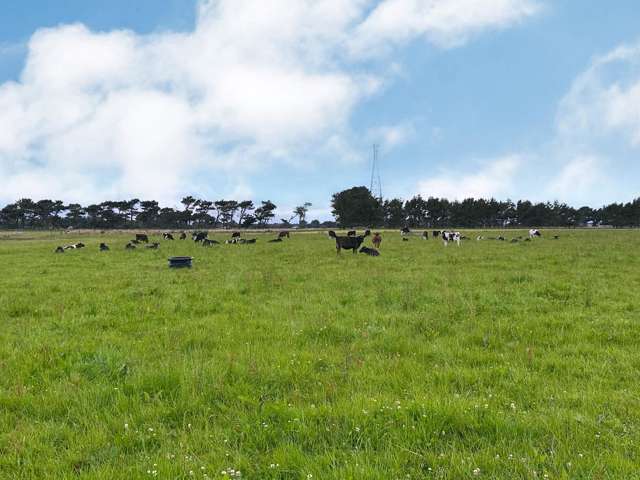 56 Greig Road West Plains_3