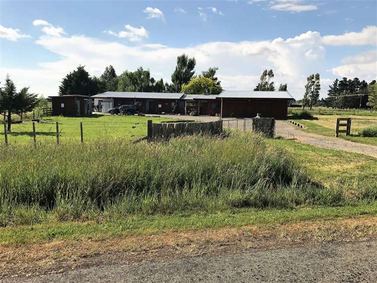 51 Eggletons Road Bunnythorpe_10