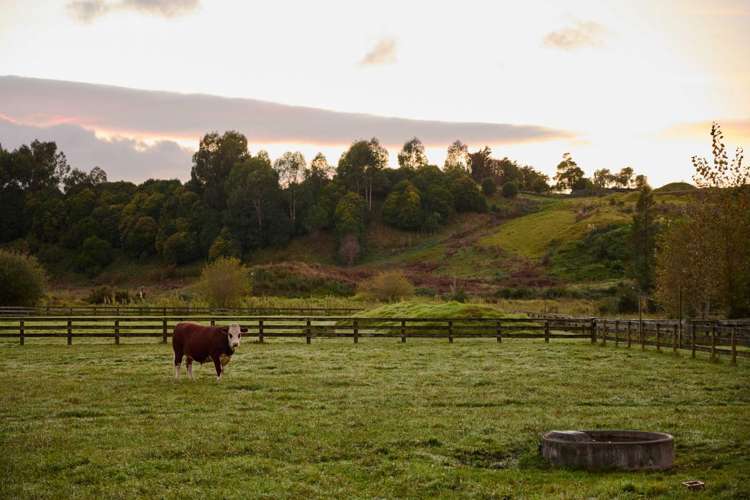 56e Te Puna Road Te Puna_9