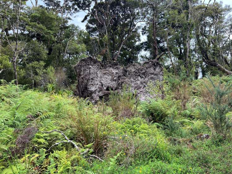 Lot . State Highway 6 Barrytown_16