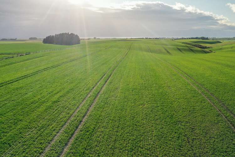 Lot 3 Hook School Road_5