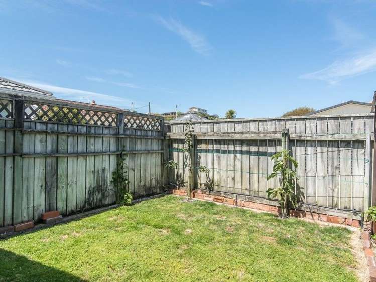 61c Ira Street Miramar_11