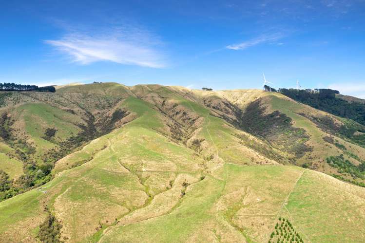 68a Greens Road Linton_2