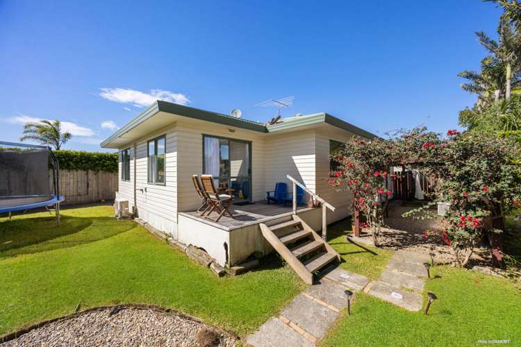 2 Francis Skinner Orewa_15