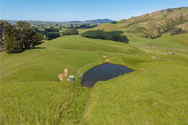 86 Mangatainoka Valley Road Nireaha_1