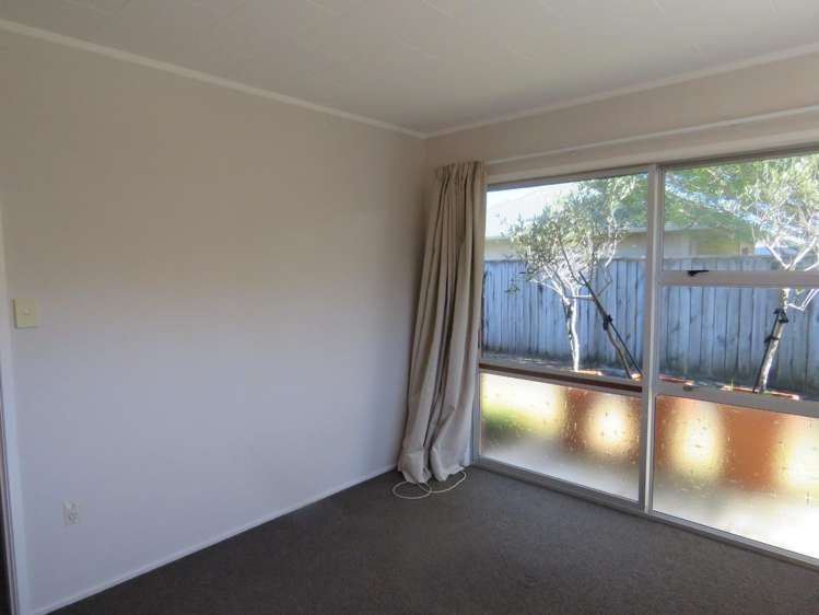 19b Norman Street Vogeltown_7