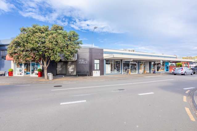 72-82 Bridge Street Ahuriri_1