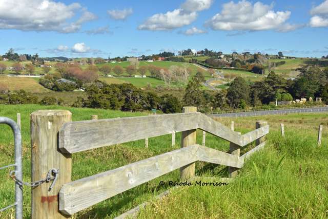 113 Te Rawhiti Road Matakohe_3
