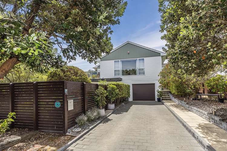 12 Madison Place Miramar_19