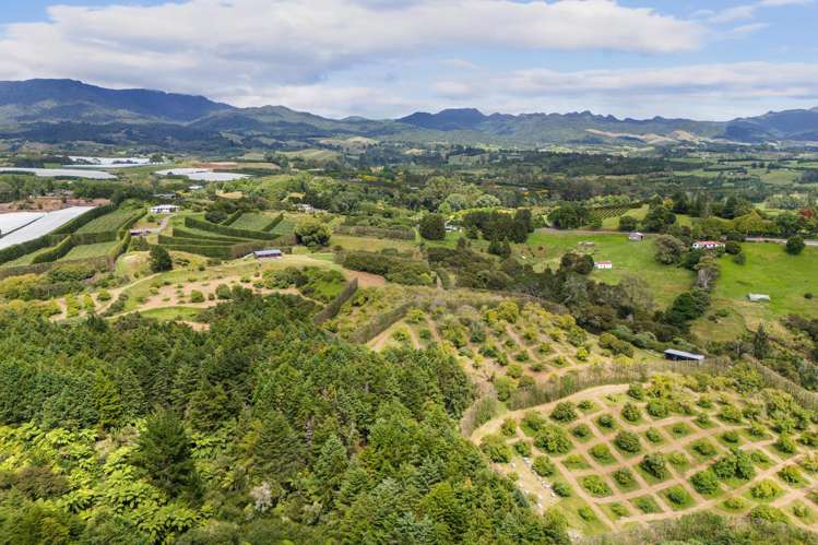 243B Wright Road Katikati_19