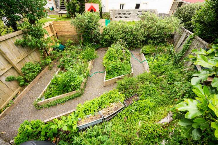 24 Charlotte Avenue Brooklyn_11