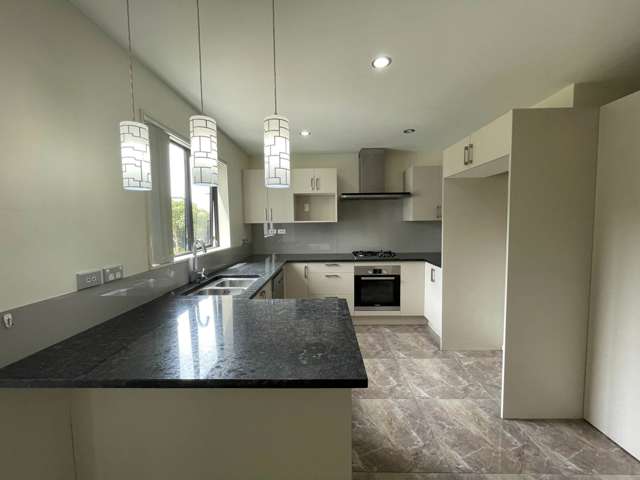 490A Richardson Road Mt Roskill_2