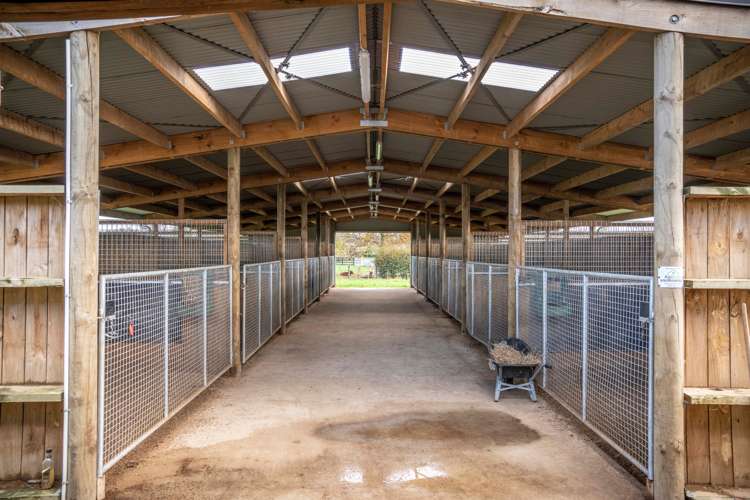 2/101 Racecourse Road Cambridge_14