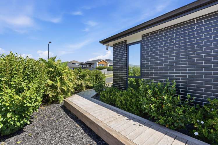 22 Kauri Gum Rise Swanson_19