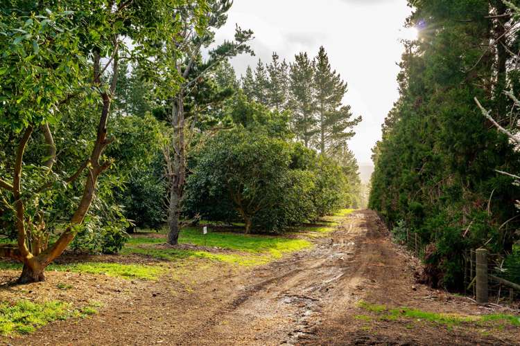 232 Simons Road Poroti_5