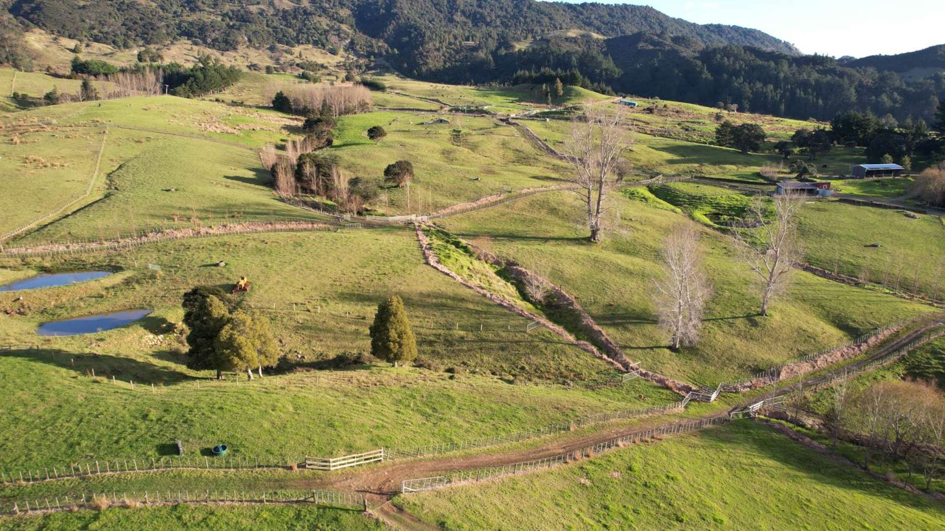 7046 State Highway 12 Waimamaku_0