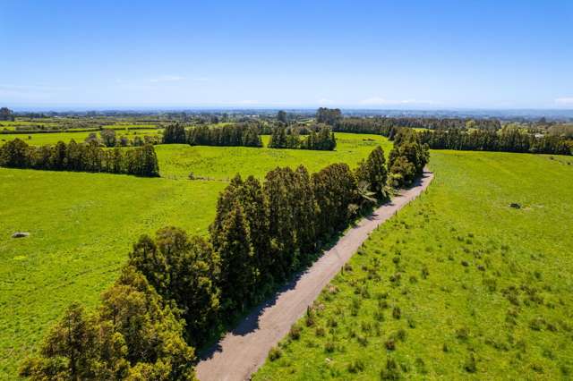 869 Dudley Road Upper Kaimiro_1