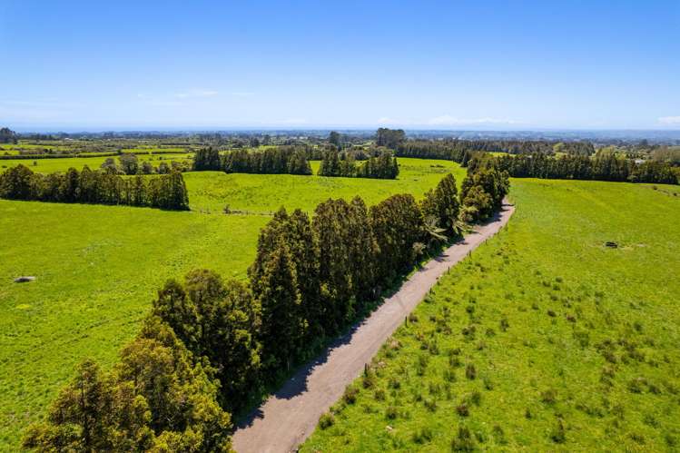 869 Dudley Road Upper Kaimiro_1