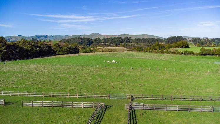 356 Matamau Ormondville Rd Dannevirke_21