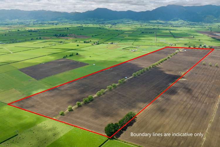 361 Waghorn Road Manawaru_3