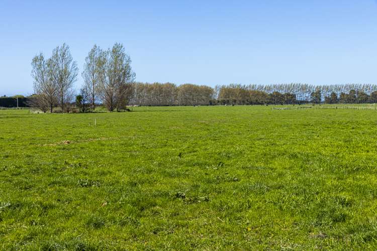 94 Brogdens Road Lowcliffe_9