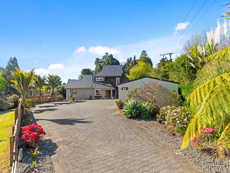 47b Taniwha Place Bethlehem_15