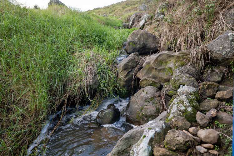 7221 State Highway 1 Pakaraka_21