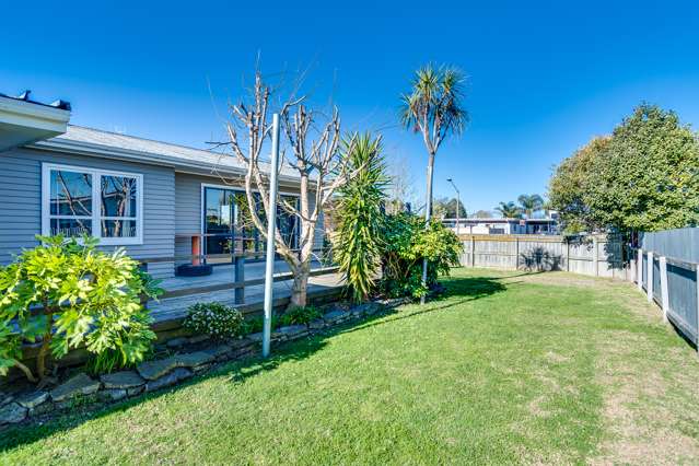 49 Leicester Avenue Tamatea_1