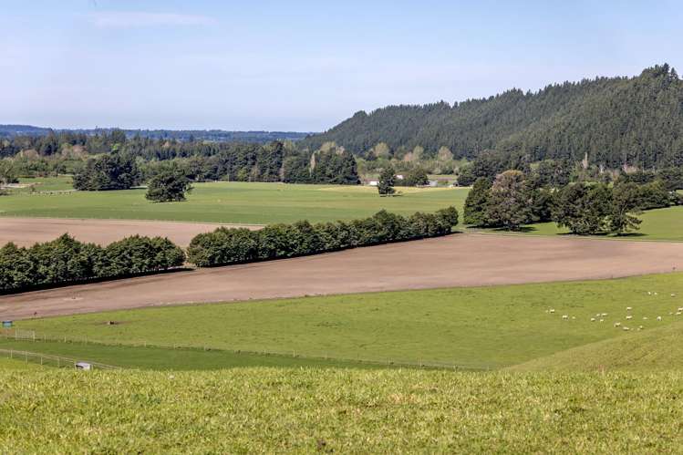 10 Riversleigh Road Glentunnel_9