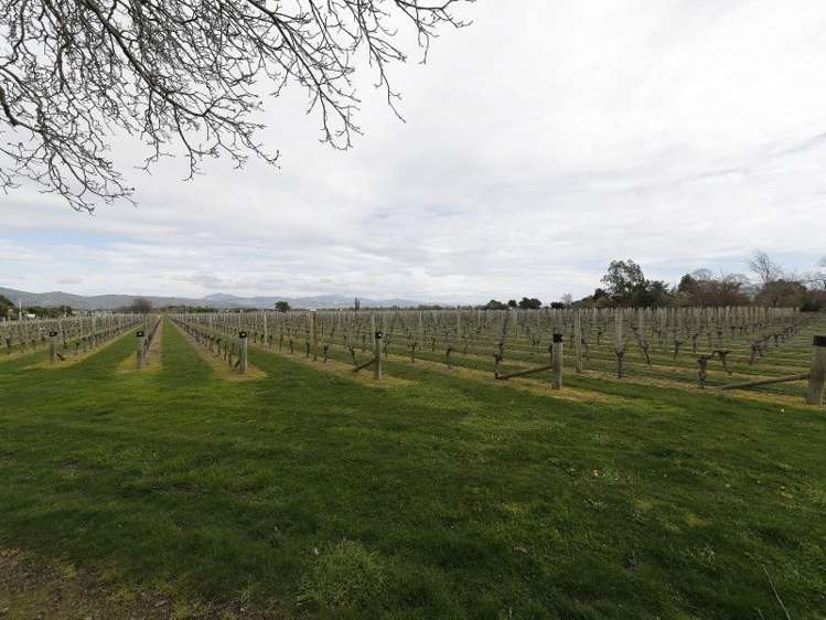 2546 State Highway 1 Grovetown_16