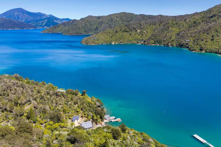 Lot 9 Blackwood Bay Queen Charlotte Sound_10