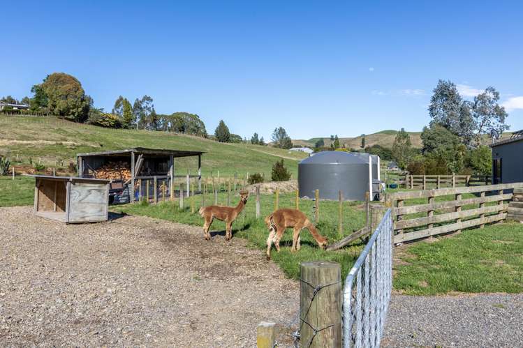 81 Kyle Road Waipukurau_26