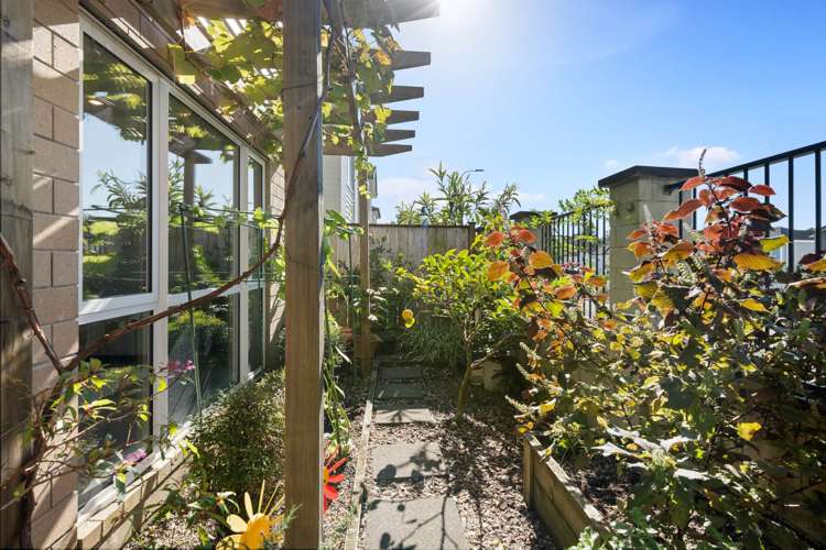 218 Murphys Road Flat Bush_28