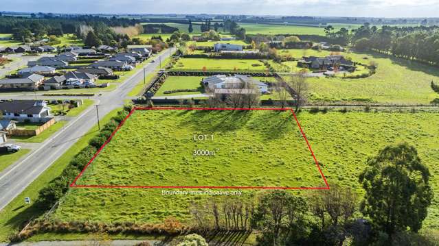 84 Manse Road Pleasant Point_1