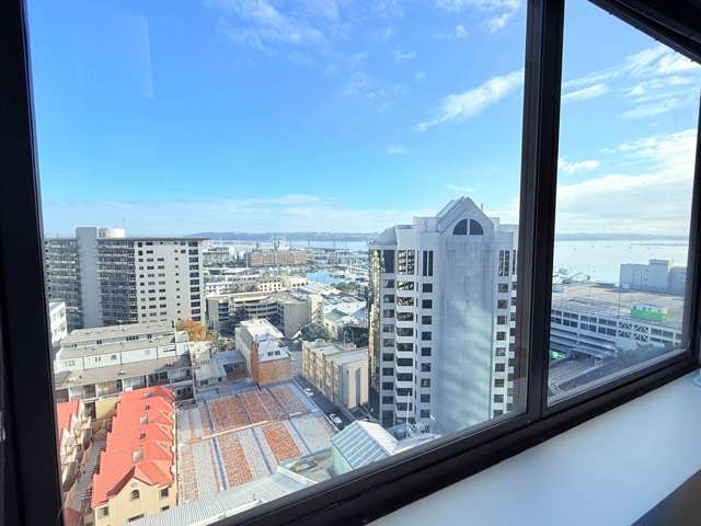 17 Albert Street City Centre_2