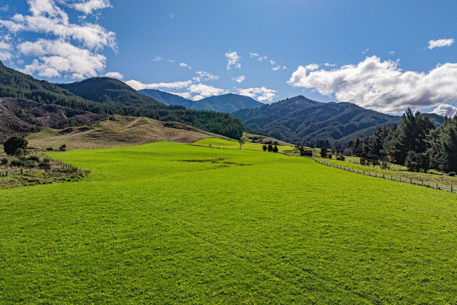 1642 Motueka River West Bank Road Motueka Valley_0