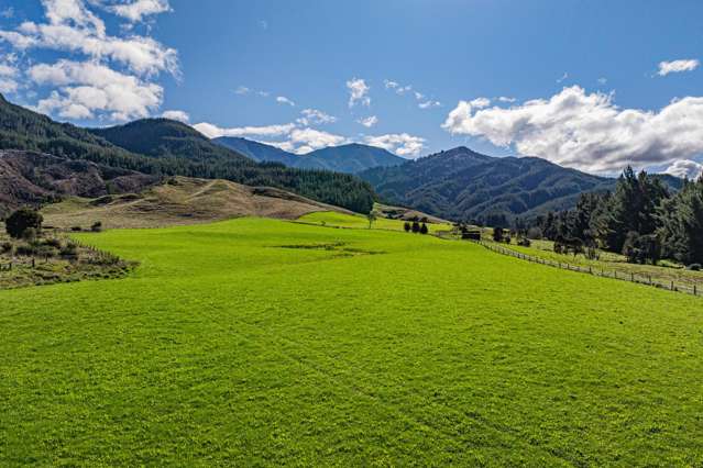 Graze, crop, or build on 101 hectares