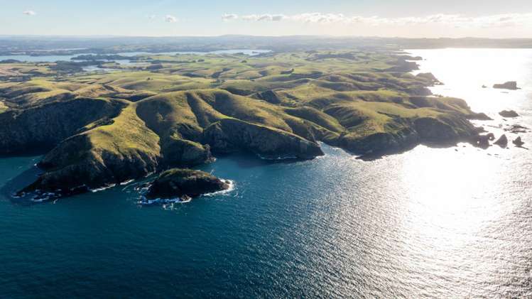 1811 Rangihoua Road Kerikeri_10