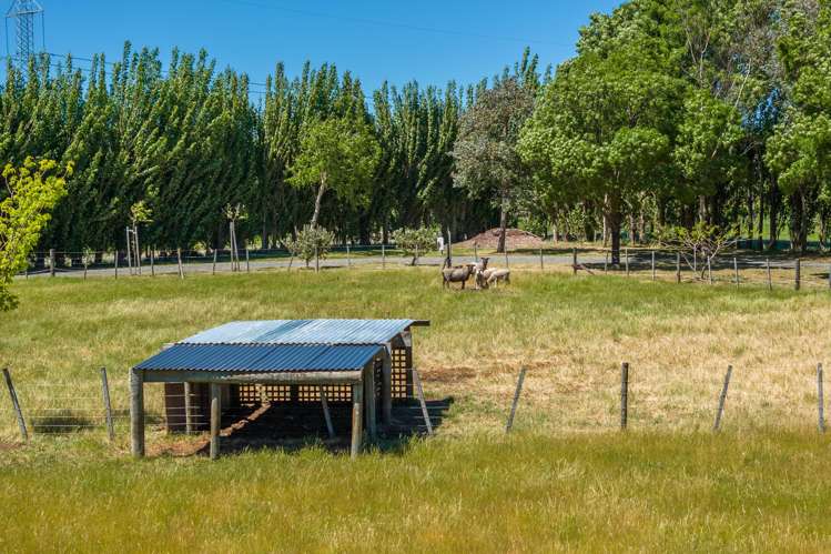 86 Rarangi Road Rarangi_28
