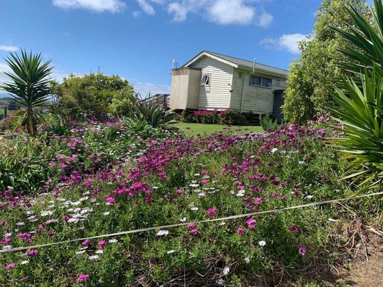 462 Otuiti Road Pukekawa_3