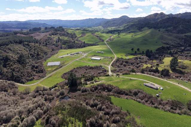 Lot 2/283 Minginui Road Galatea_2