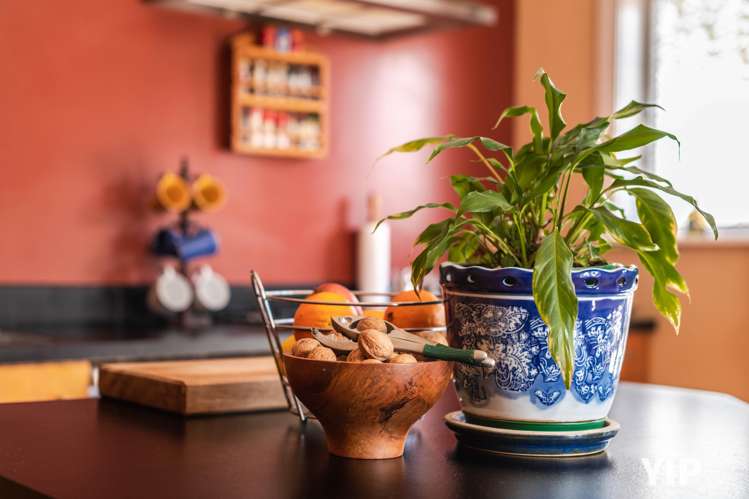 330 Adelaide Road Newtown_6