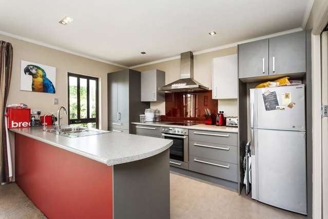 11 Vampire Road Waldronville_3