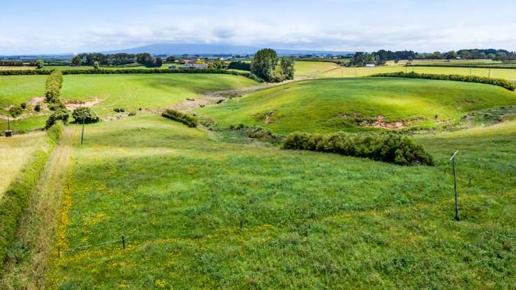 29 Ohangai Road Normanby_7