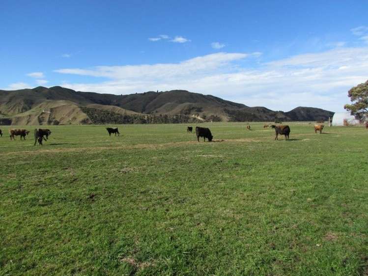 150 Lower Flag Range Road Sherenden_1