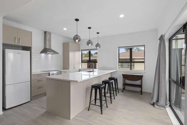 33 Harris Street Pukekohe_3