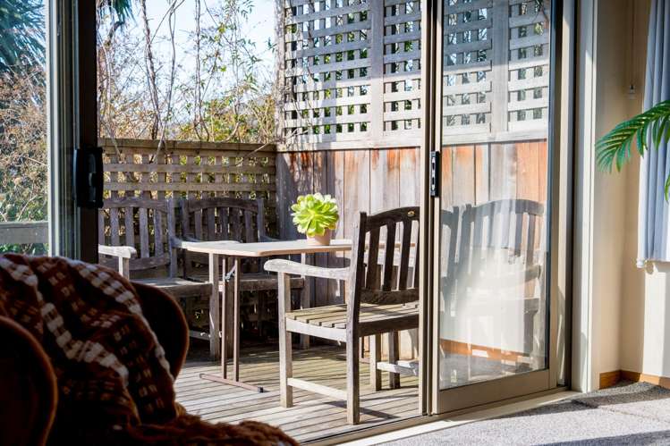 45 Brownville Crescent Maori Hill_22