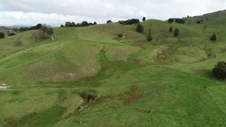 481 Moore Road Pipiwai_6